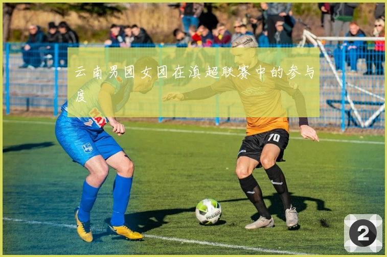 云南男团女团在滇超联赛中的参与度